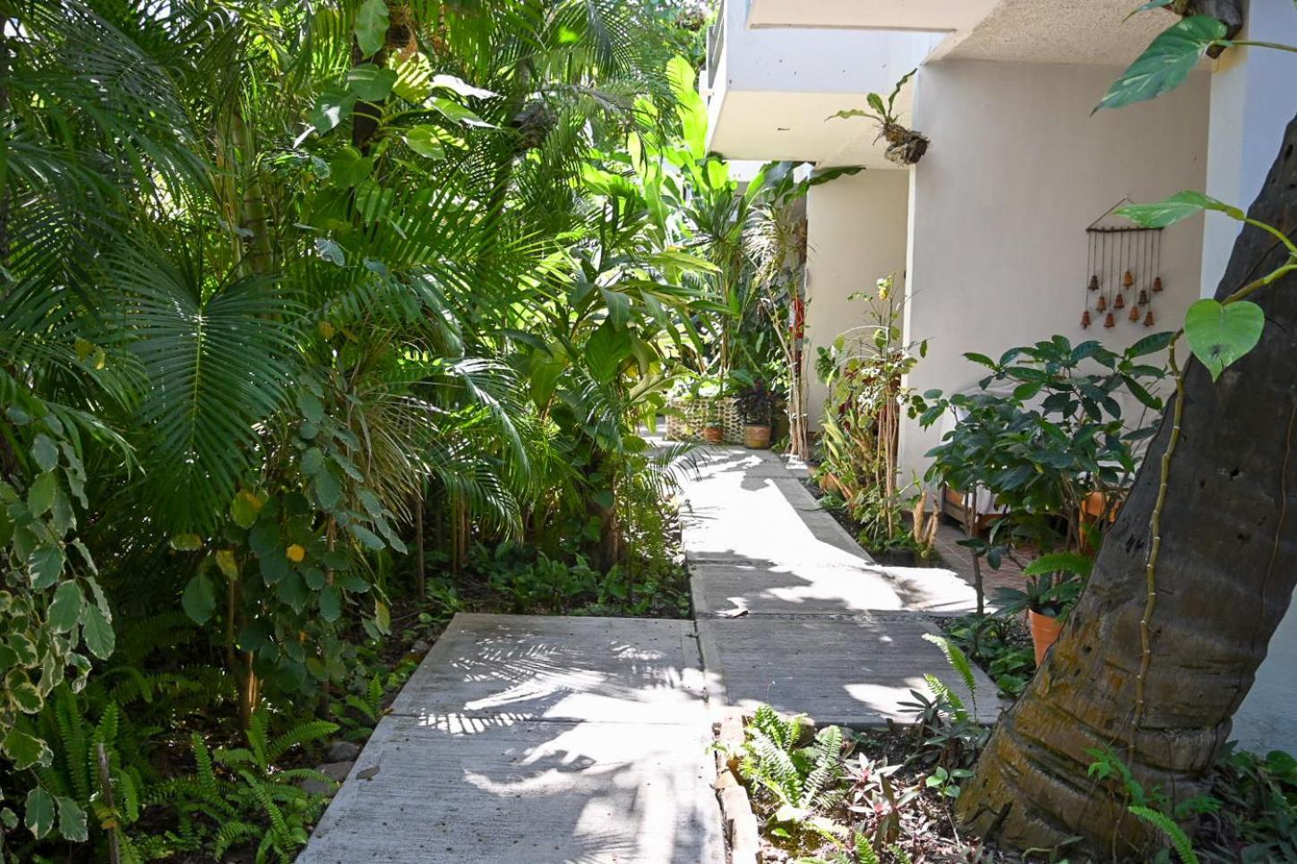 Hotel Palmeras Bucerías Exterior foto